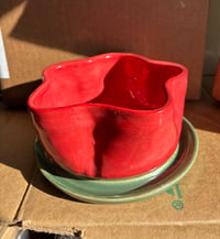 Image 2 of Flower Pot + Drip Tray Set (Pre-Orders)