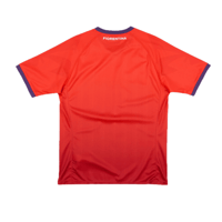 Image 2 of Fiorentina Third - 2024/25