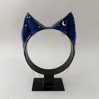 Image 1 of Night Sky Mini Kitten