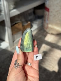 Image 9 of CHOOSE YOUR OWN MINI LABRADORITE FREEFORM -MADAGASCAR-