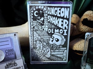 Image of Dungeon Shaker "Demo i"