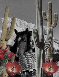 Image 1 of ✿ Reiki for Equines ✿