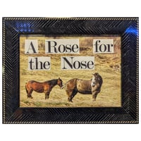 HORSE'S ASS