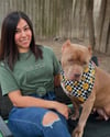 IF I CAN’T BRING MY DOG I’M NOT GOING TSHIRT