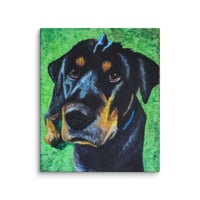 Image 2 of Rottweiler Shar-pei