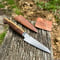 Image of 110mm Paring Knife AEB-L Myall