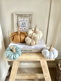 Image 3 of Mini Winnie Fabric Pumpkin 