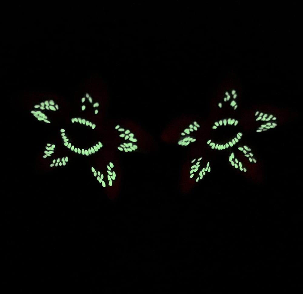 Stranger Earrings