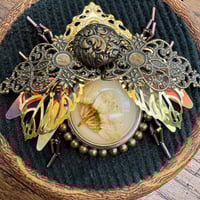 Image 2 of Dried flower beetle (a, 3.5  inches)