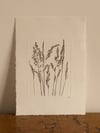 Mixed Grass Original Botanical Monoprint  A4 *Seconds*