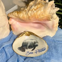 Image 3 of Sea Potato Clam Shell Trinket Dish