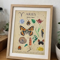 Image 5 of Vintage Aries Creation Chart 