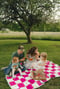 Image of BYO pizza picnic! (retainer only)