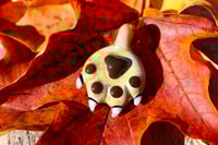 Image 2 of Tan Paw