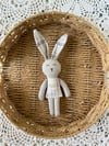 Mini bunny 2