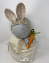 Image 6 of Bunny Set 