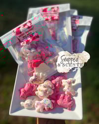 Animal cookie wax melts