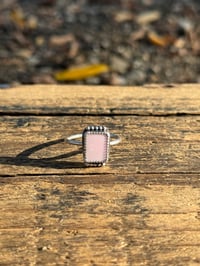 Image 1 of The Blush Horizon