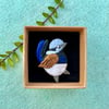 Superb Fairywren Brooch