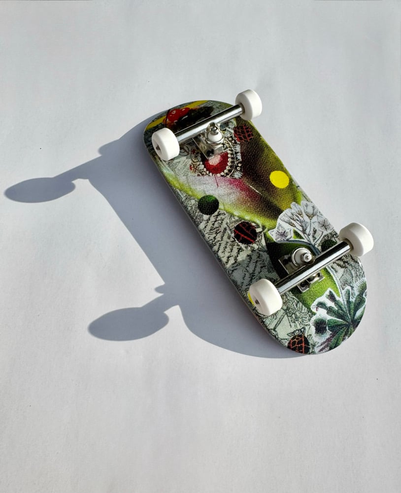 Image of Venus Flytrap complete