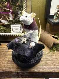 Image 4 of Make your own Taxidermy Mouse Workshop February Available Dates