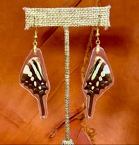 Image 1 of Common Swordtail Hindwings - Topside (Pale Green)