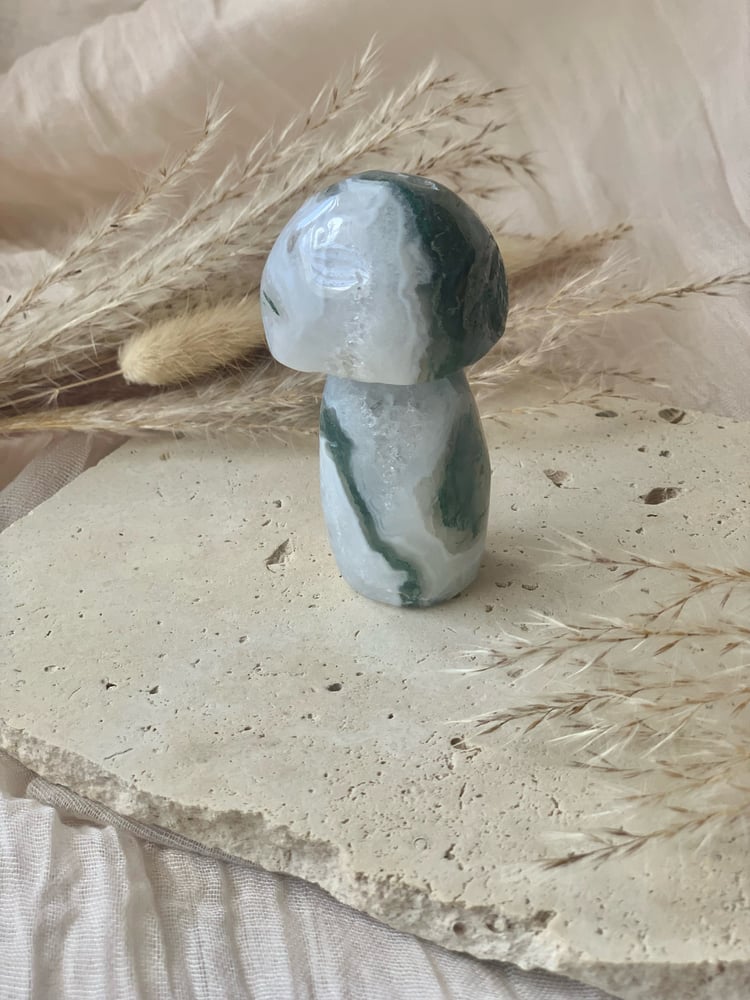 Image of Moss Agate Mushrooms Lge  