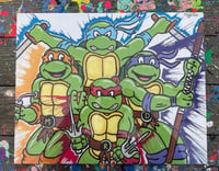 Ninja Turtles Print