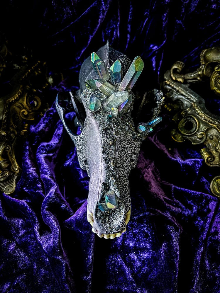 Image of Gray Aura Quartz - Coyote Skull