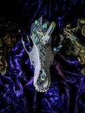 Rainbow Aura Quartz - Coyote Skull