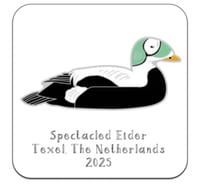 Image 3 of Spectacled Eider - No.20 - Bird Pin Group Series