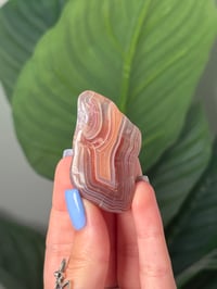 Image 1 of TUMBLED AGATE #11 -MALAWI-