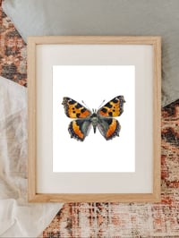 Image 6 of Tortoiseshell Butterfly PRINT