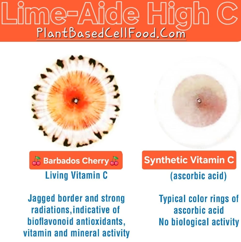 Wild LIME-AIDE HIGH C Barbados Cherry Powder/Frozen Juice-Diabetes-Immunity-Mood-Circulation-Heart