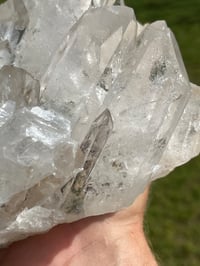 Image 12 of Clear Quartz Points Cluster Statement Piece #2186