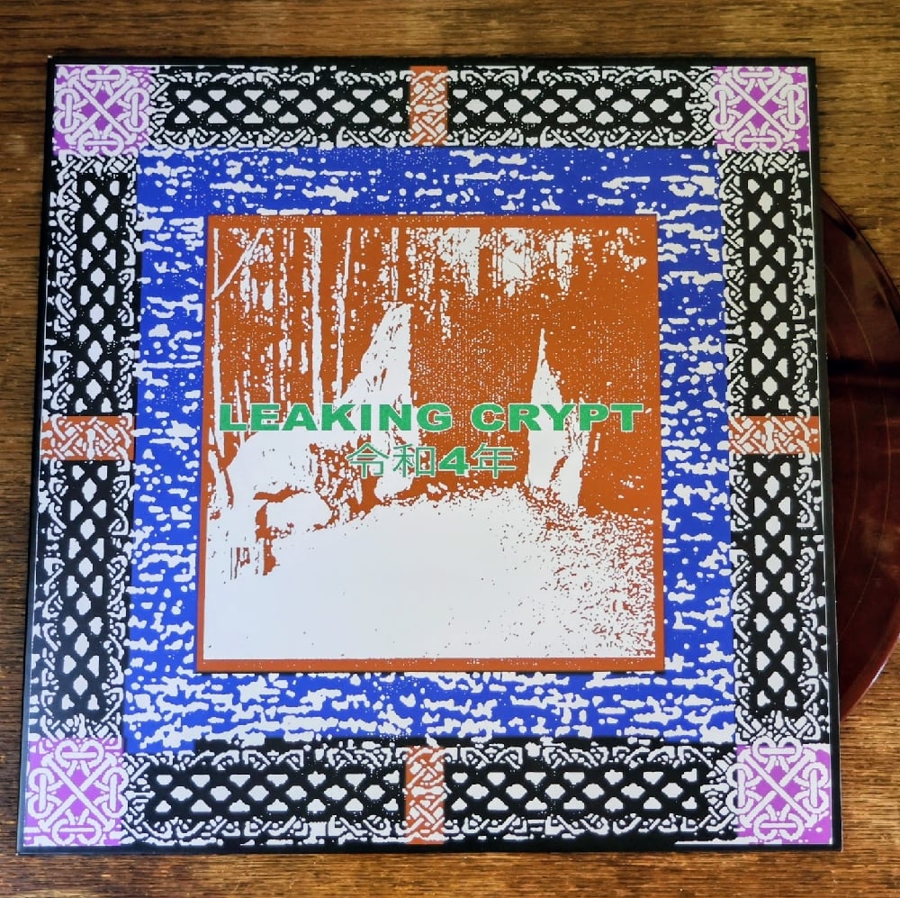 激レア!comings『Sale of Broken…』 LP レコード LEAKING CRYPT 