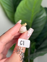 Image 1 of CHOOSE YOUR OWN ETHIOPIAN OPAL LOT C