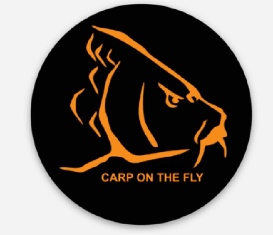 Carp Vinyl Decals