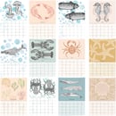 Image 2 of 2024 Marine Life Calendar