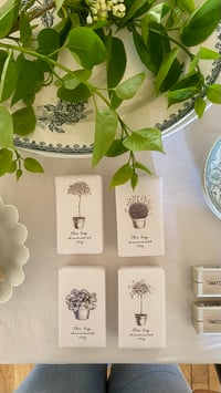 Image 4 of Savon exfoliant