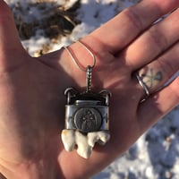Image 3 of Large wolf tooth