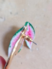 Image 3 of Boucles d'oreilles feuilles pothos 