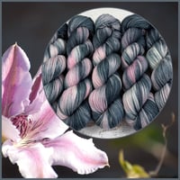 Image 1 of Rain Lily