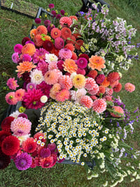 Image 1 of Blooming Bucket 