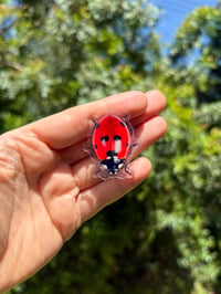 Image 2 of Lady Bug