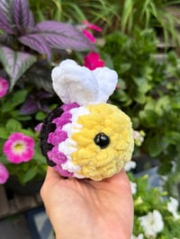 Image 1 of baby nonbinary bee