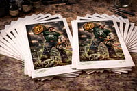 Image 5 of TIMBER JOEY (75)