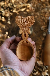 Image 7 of  The Oak and Acorn Special Scoop