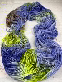 Image 5 of Apothecary