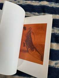 Image 6 of Seduzione, Toni Meneguzzo, 1991.